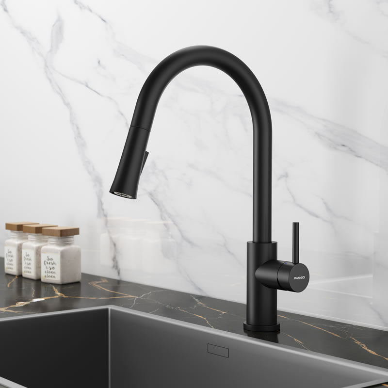 3308Q Pull Down Kitchen Faucet