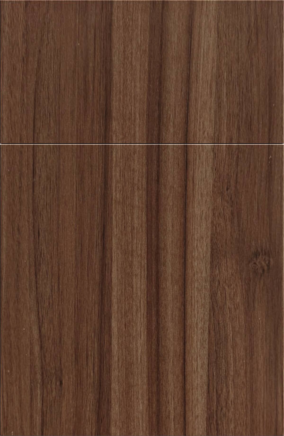 English Chestnut