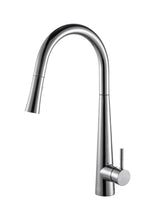 Lucas Single Handle Pull Down Sprayer Kitchen Faucet In Chrome