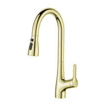 Andrea Single Handle Pull Down Sprayer Kitchen Faucet In Brushed Gold