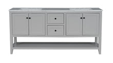 V10960MG