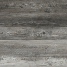 Cyrus - Boswell