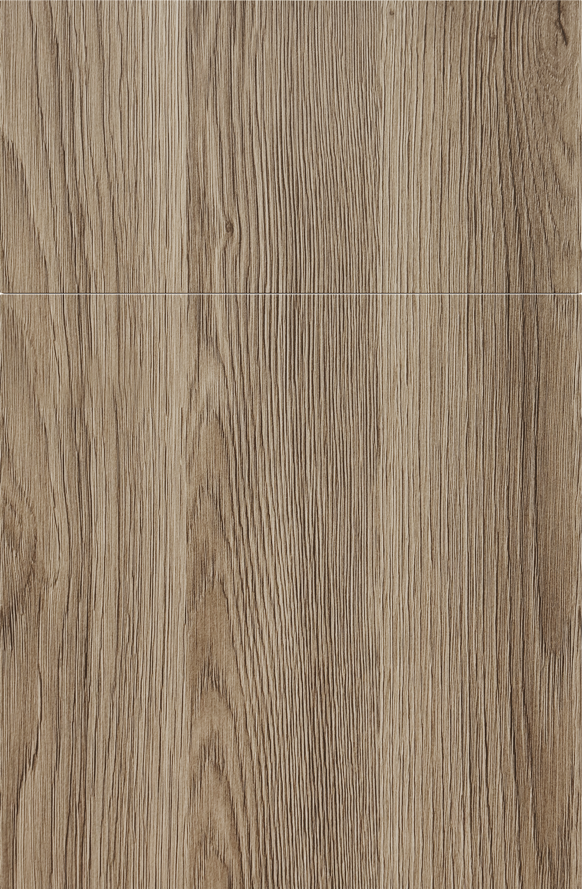 Yellow Birch