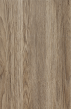 Yellow Birch