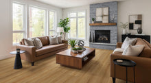 Cyrus XL - Amber Forrester